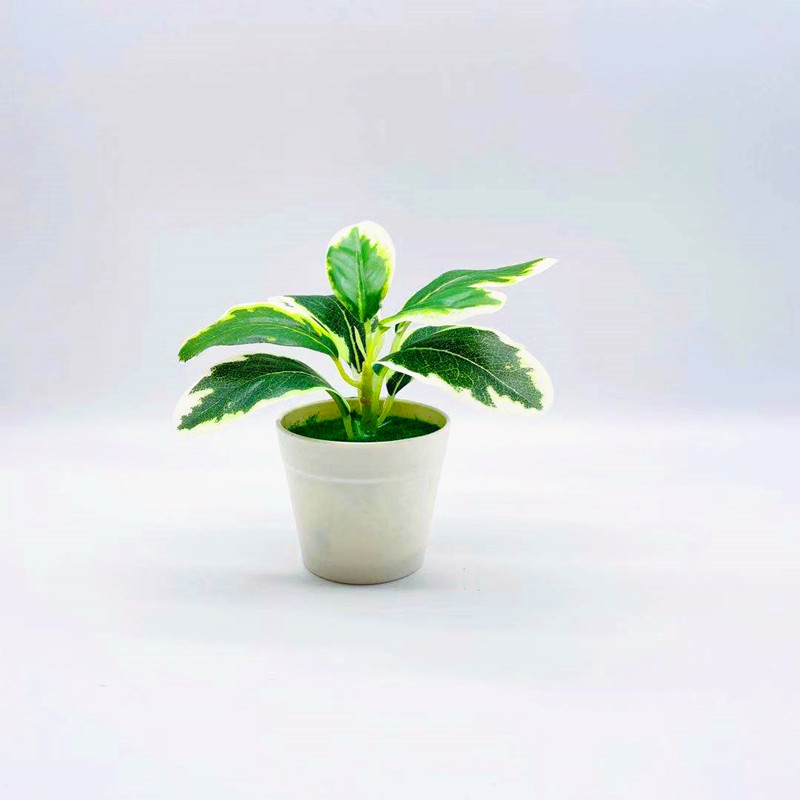 リラックスグッズ 癒しの葉っぱ ミニ鉢植え