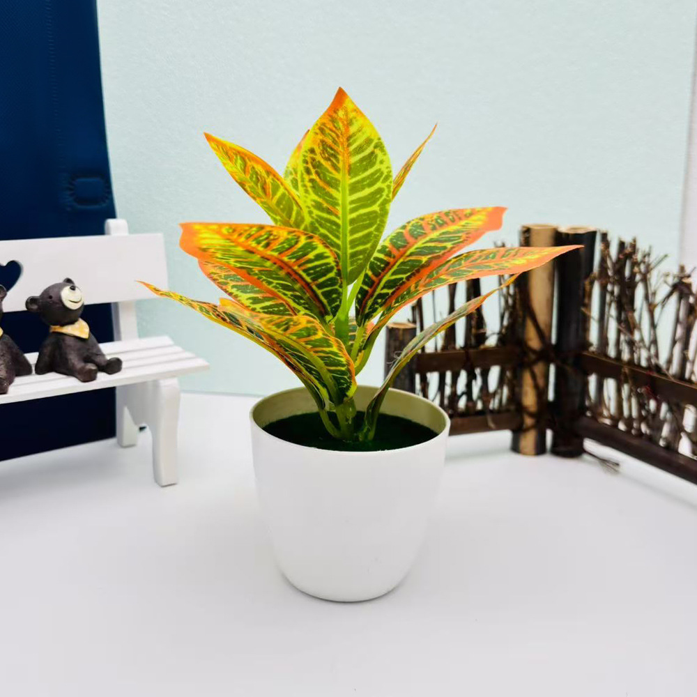リラックスグッズ 癒しの緑 ミニ観葉植物セット