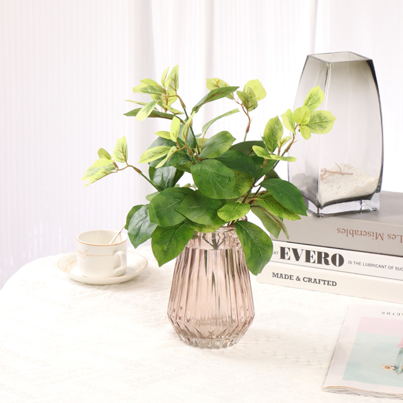 リラックスグッズ みずみずしい葉の癒し鉢植え