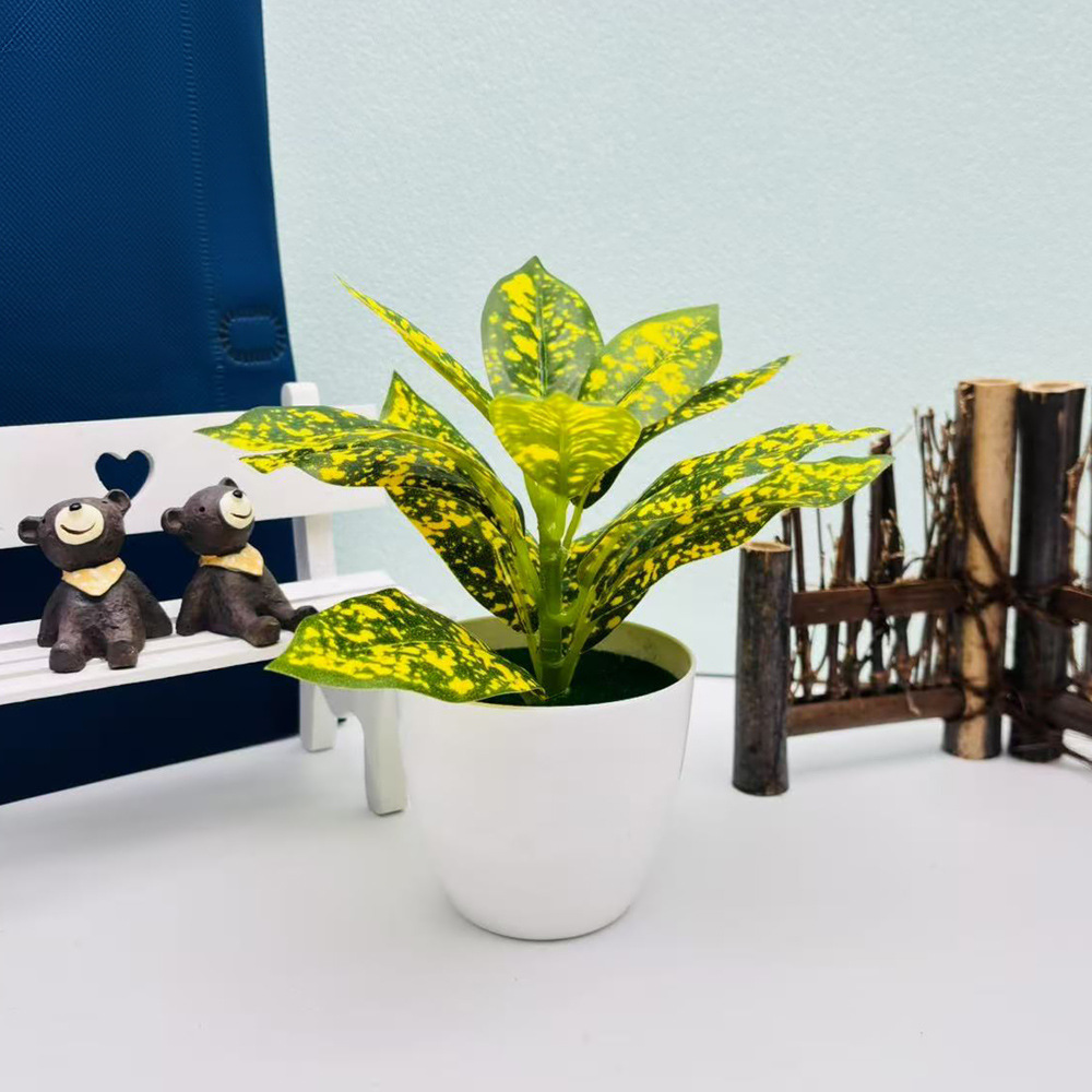 リラックスグッズ 癒しの緑 ミニ観葉植物セット