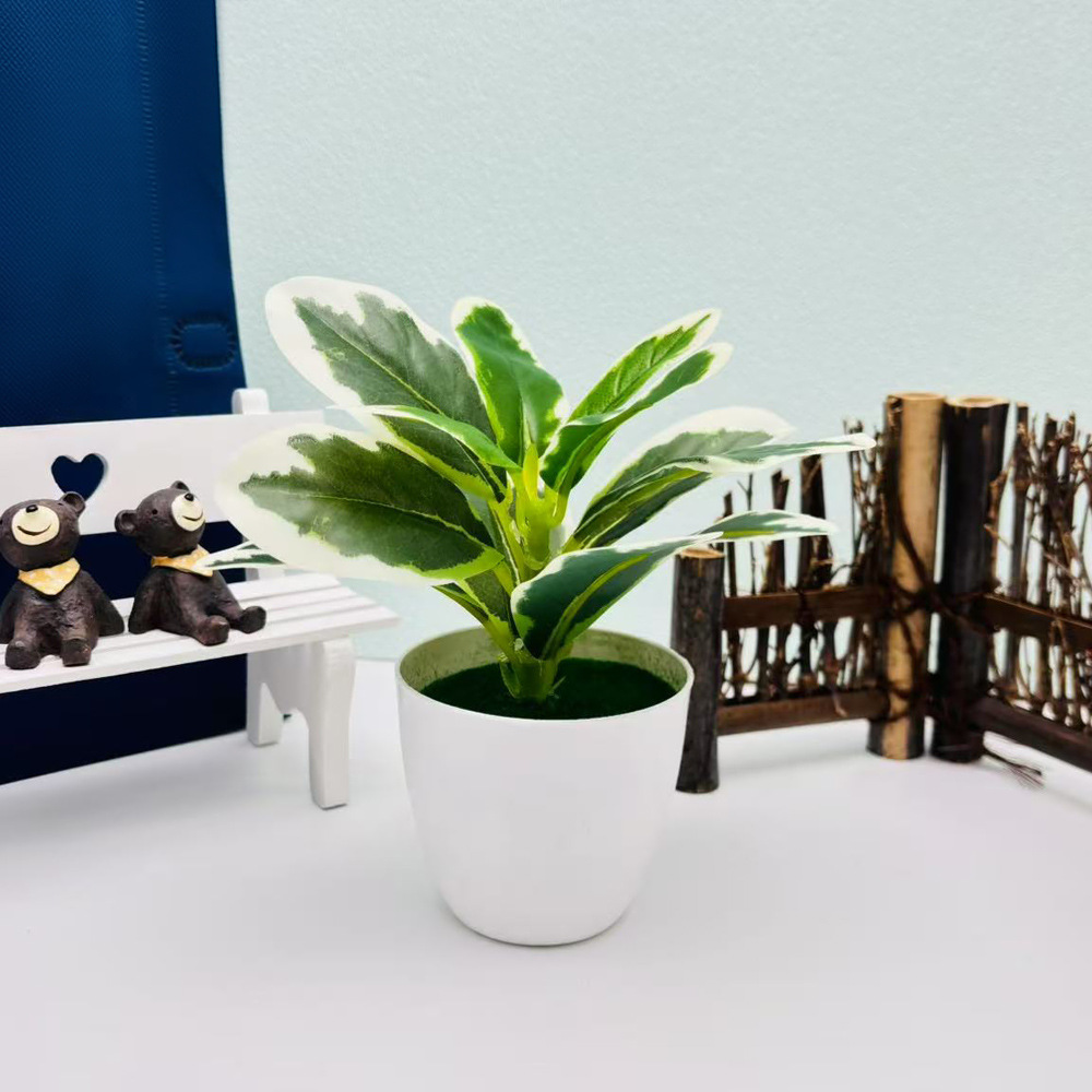 リラックスグッズ 癒しの緑 ミニ観葉植物セット