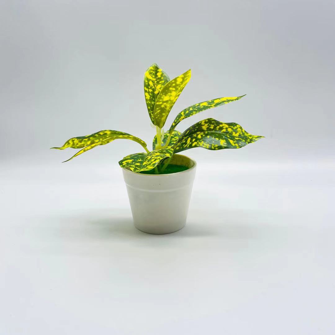 リラックスグッズ 癒しの葉っぱ ミニ鉢植え