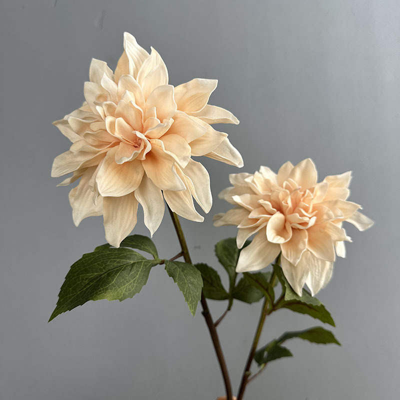 リラックスグッズ 四季彩りダリアの優雅な花束