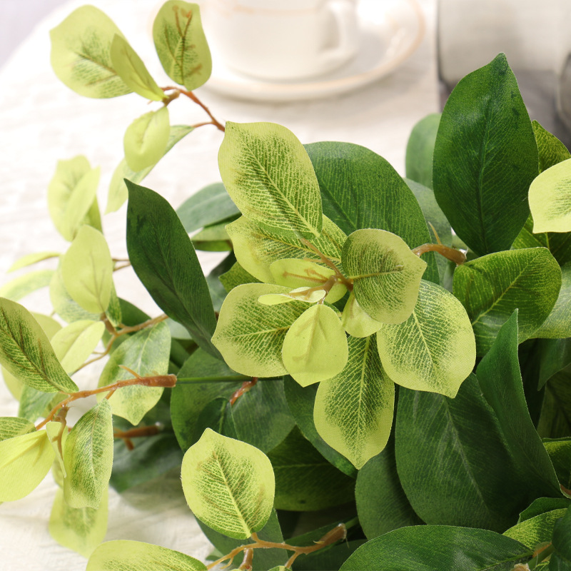 リラックスグッズ みずみずしい葉の癒し鉢植え
