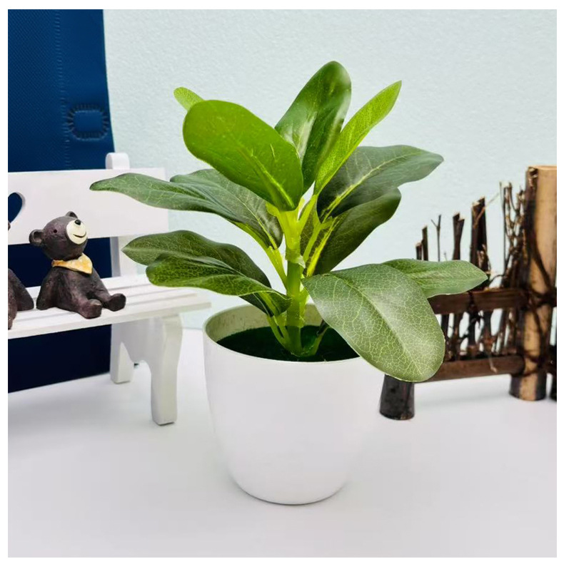 リラックスグッズ 癒しの緑 ミニ観葉植物セット