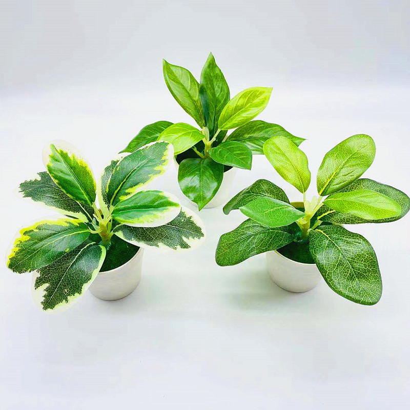 リラックスグッズ 癒しの葉っぱ ミニ鉢植え