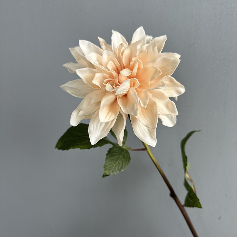 リラックスグッズ 四季彩りダリアの優雅な花束