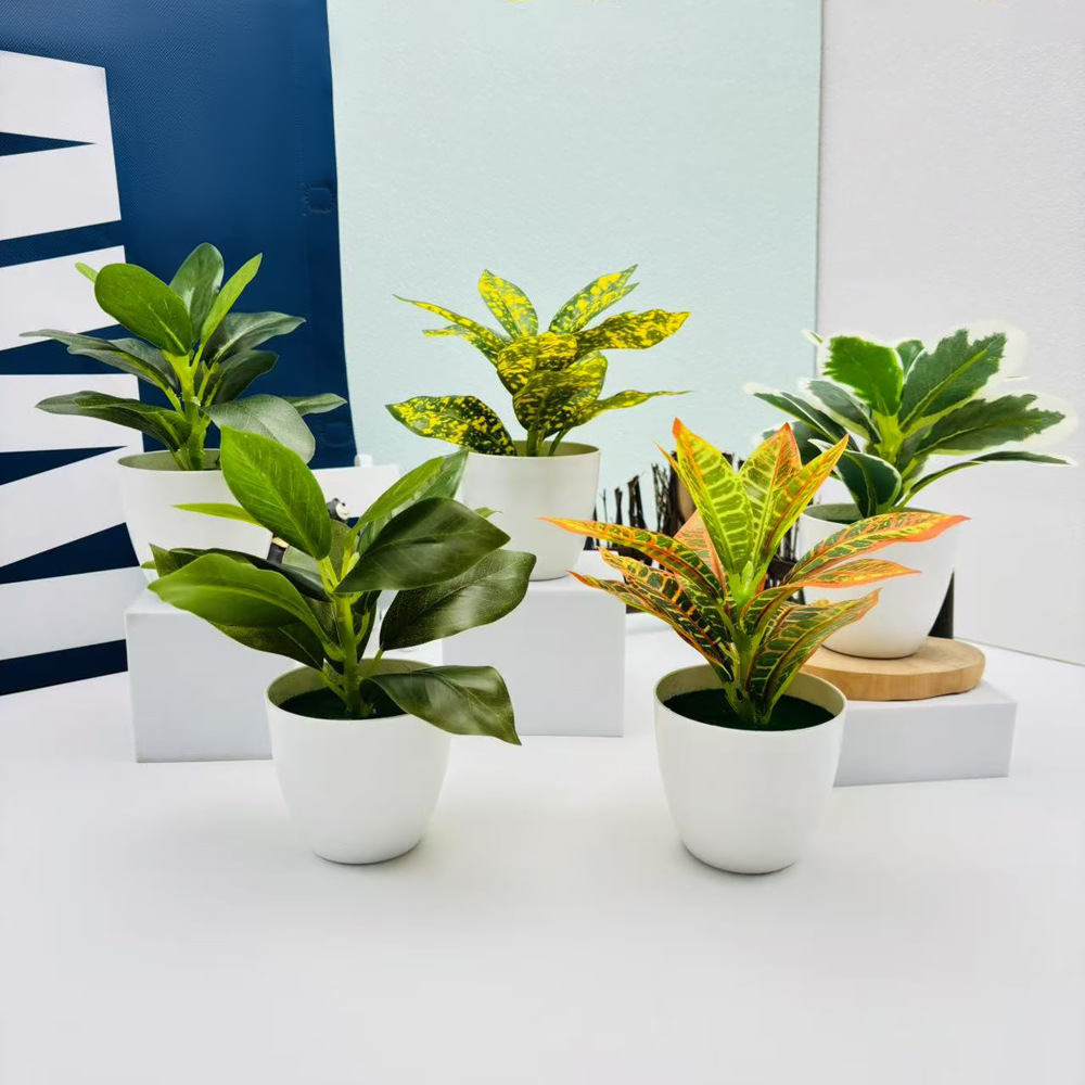リラックスグッズ 癒しの緑 ミニ観葉植物セット