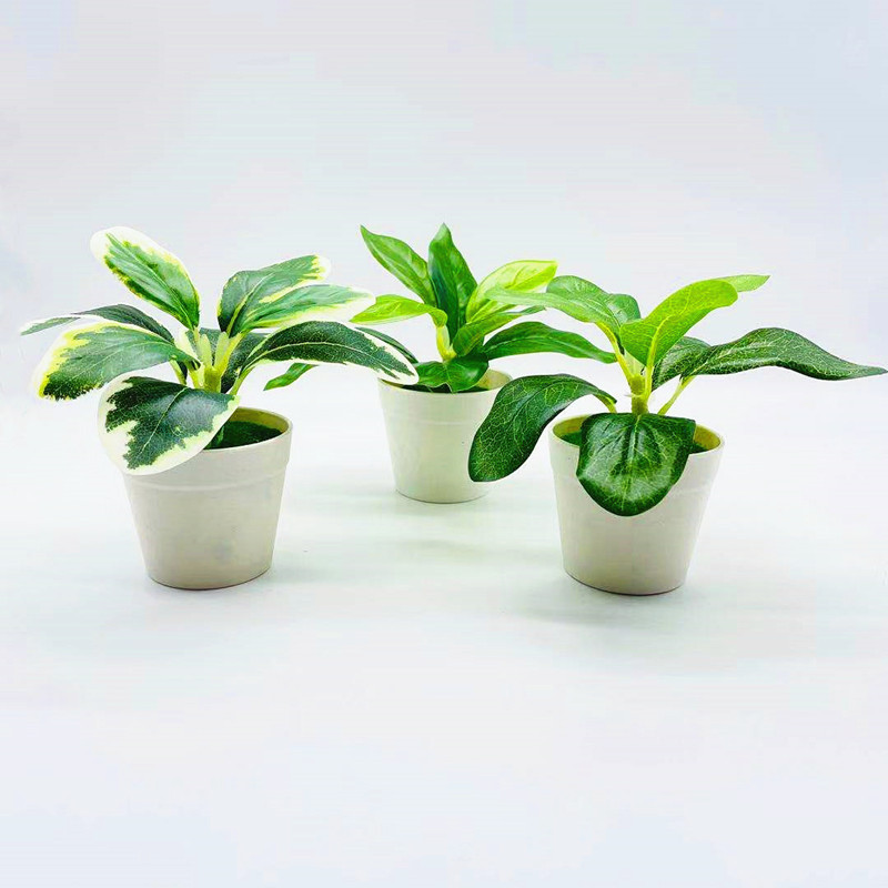 リラックスグッズ 癒しの葉っぱ ミニ鉢植え