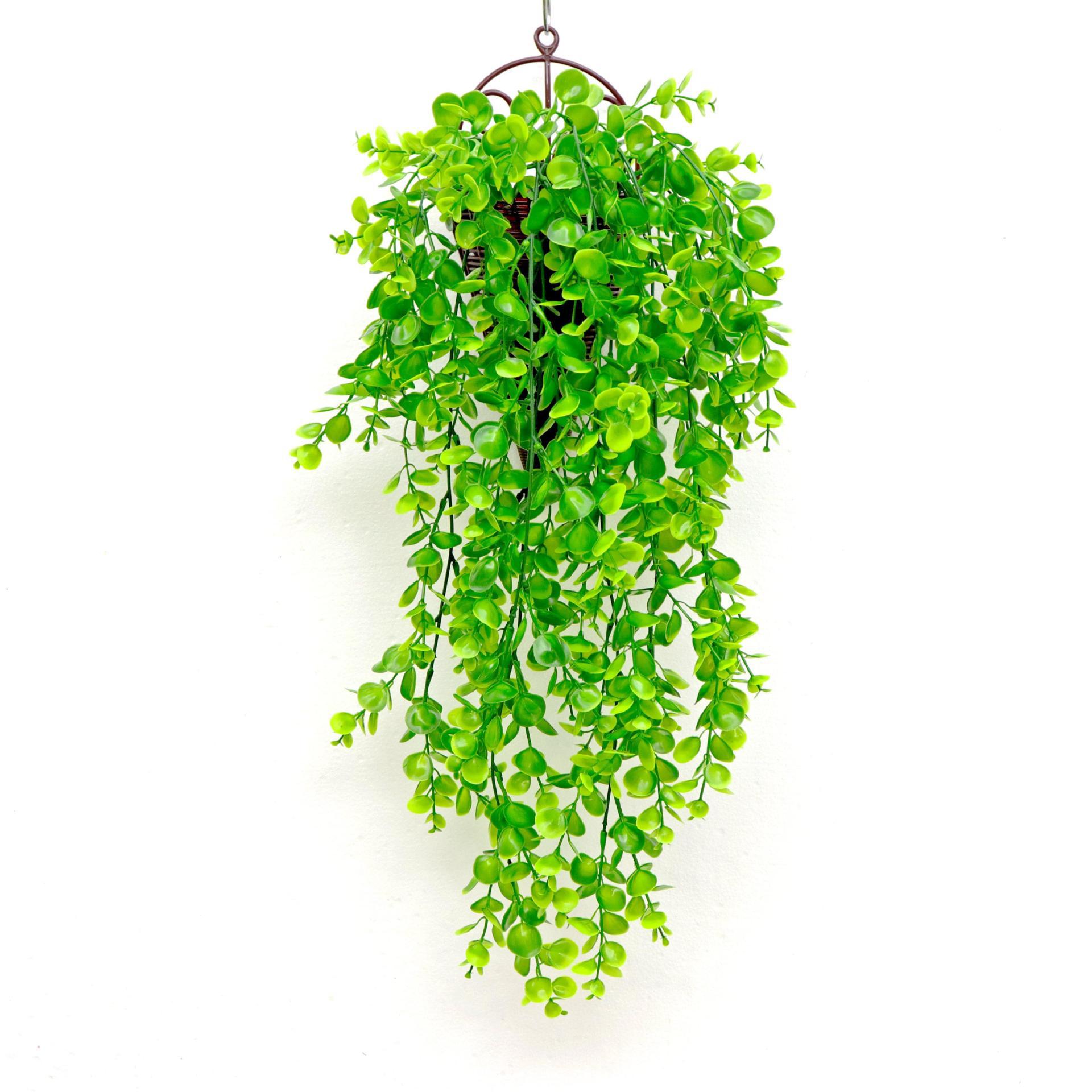 リラックスグッズ 癒し空間を作るつり下げ型多肉植物