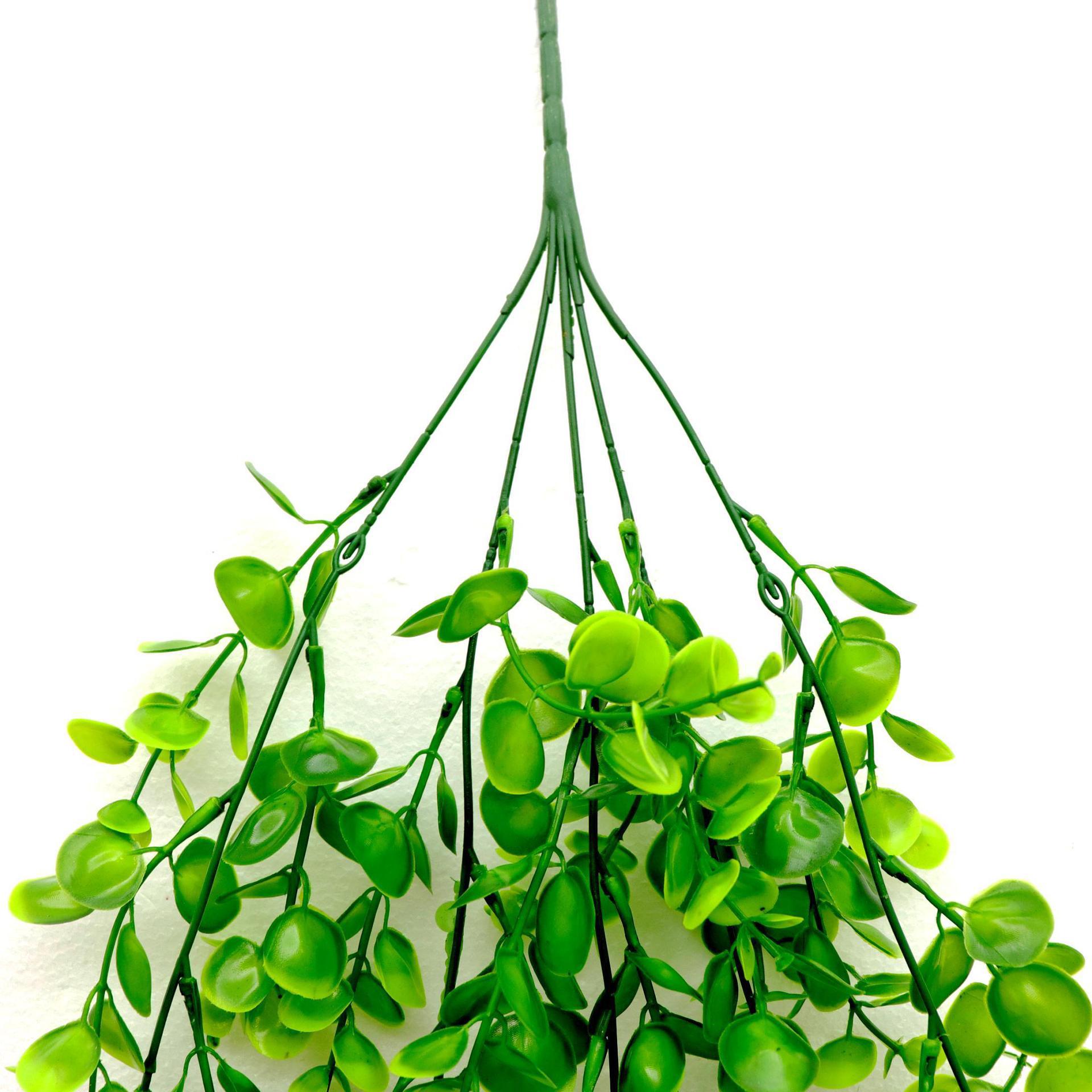 リラックスグッズ 癒し空間を作るつり下げ型多肉植物