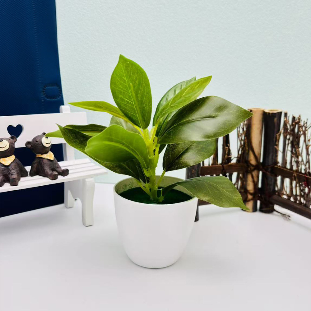 リラックスグッズ 癒しの緑 ミニ観葉植物セット