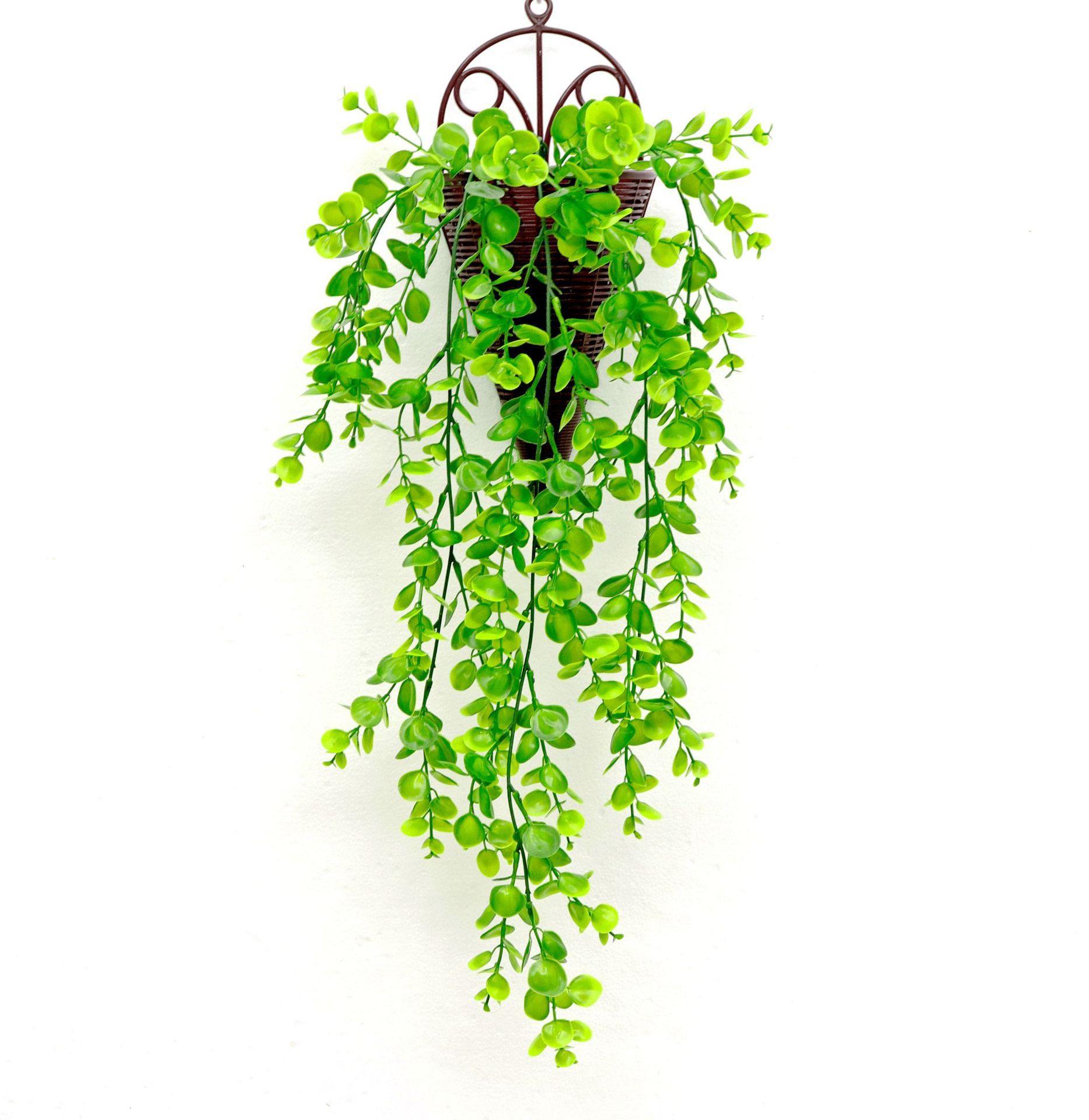 リラックスグッズ 癒し空間を作るつり下げ型多肉植物